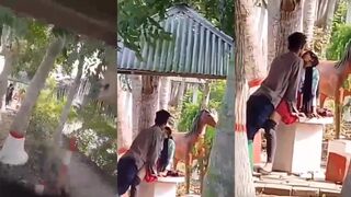 Desi Lovers Fucking In Park Hidden Recrorded MMS
